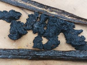 Vanilla Caviar